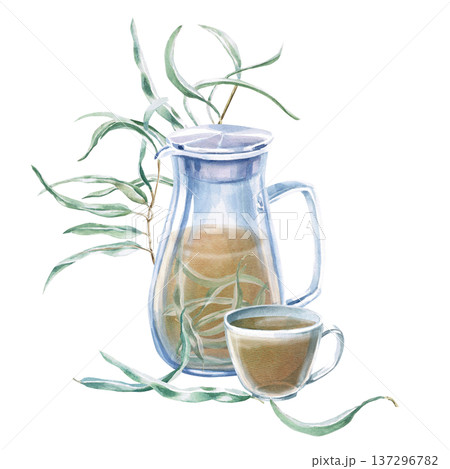 Watercolor illustration of a teapot and cup with eucalyptus tea and branches. Isolated illustration for thematic designs: healthy eating, aromatherapy, spa, cosmetics, natural medicine, herbal cafes. 137296782