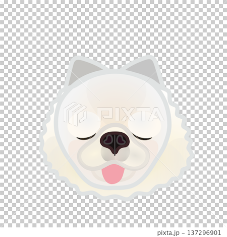 博美犬臉部插圖 博美犬臉部插圖 137296901