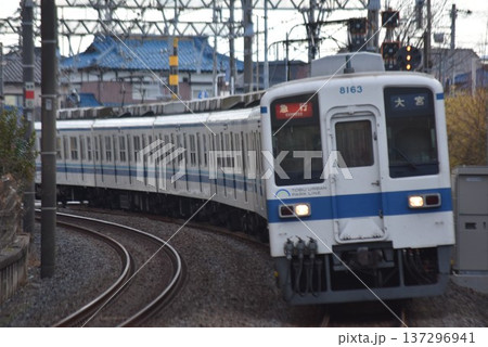 8000系8163編成　急行 137296941