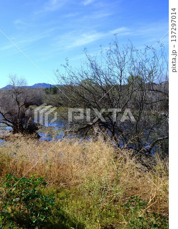 Salt River Recreation Area Arizona Salt River Recreation Area Arizona 137297014