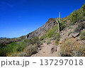 Salt River Recreation Area Arizona 137297018