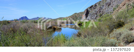 Salt River Recreation Area Arizona 137297020