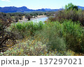 Salt River Recreation Area Arizona 137297021