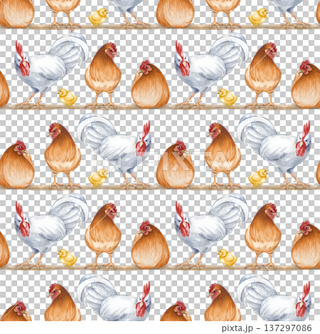 Horizontal seamless pattern with hens, chicks and roosters sitting and standing on a roost. Watercolor illustration of a poultry yard on an isolated background. Brown hens, white rooster and chickens 137297086