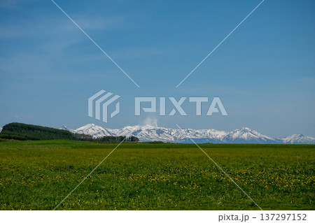 春の晴れた日の草原と残雪の山並み　十勝岳 137297152