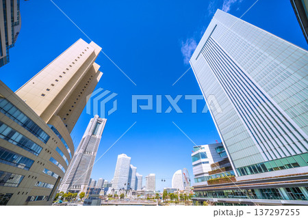 日本の横浜都市景観3月4日。横浜市役所やロープウェイ、横浜ランドマークタワーなど望む 137297255