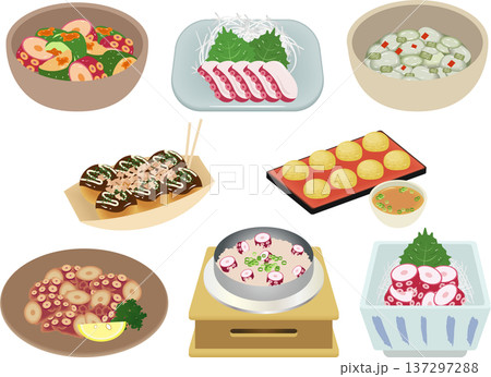 たこ料理セット たこ料理セット 137297288