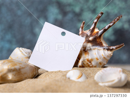 Blank square gift tag on beige sand near seashells blue ocean backdrop, coastal beach mockup Blank square gift tag on beige sand near seashells blue ocean backdrop, coastal beach mockup 137297330