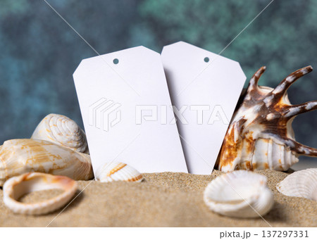 Blank gift tags on beige sand near seashells blue ocean backdrop, coastal beach mockup 137297331