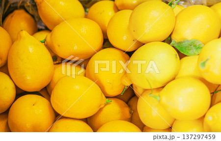 Bright yellow lemons piled together. Fresh citrus fruits with green stems visible. Vibrant, juicy texture in close-up view. Perfect for food, beverage, or health-related content Bright yellow lemons piled together. Fresh citrus fruits with green stems visible. Vibrant, juicy texture in close-up view. Perfect for food, beverage, or health-related content 137297459