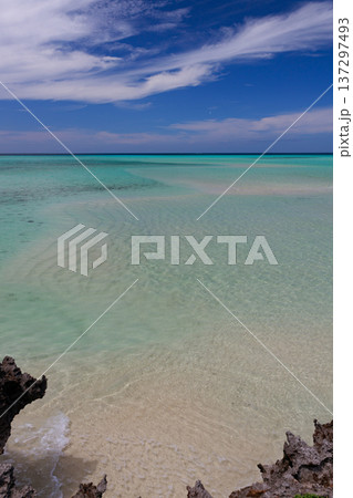 白い砂浜と透明なターコイズブルーの浅瀬が広がる南国の海 137297493