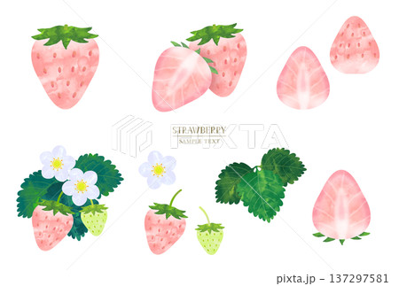 手描き水彩風　ピンクのいちごのイラスト素材セット 137297581