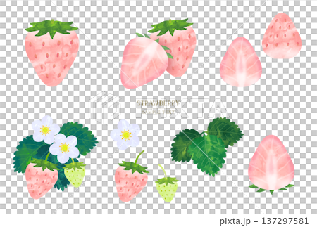 手描き水彩風　ピンクのいちごのイラスト素材セット 137297581