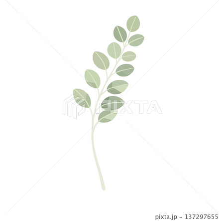 植物 工場 プランツ 137297655