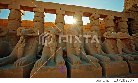 Ram headed sphinx statues in Karnak Temple at sunset, Luxor Egypt 137298377