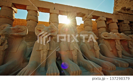Row of ancient ram-headed sphinx statues in Karnak Temple complex, Luxor, Egypt. Historic Egyptian architecture  137298379