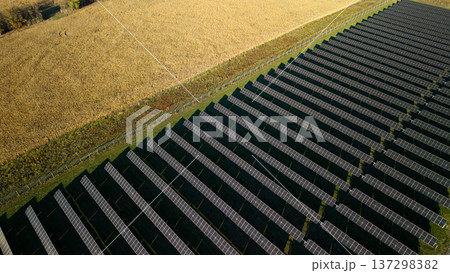 Aerial view of solar farm with rows of photovoltaic panels next to agricultural field producing renewable electricity Aerial view of solar farm with rows of photovoltaic panels next to agricultural field producing renewable electricity 137298382