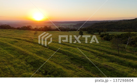 Sunset over rolling pasture fields in rural Brazil 137298604
