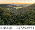Cassilandia, Mato Grosso do Sul, Brazil - 04 05 2024: Forest canyon aerial landscape 137298661