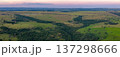 Brazilian countryside pasture landscape aerial panorama 137298666