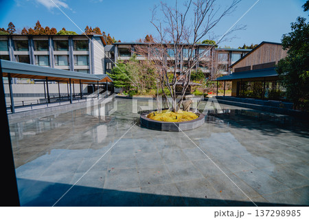 京都の美しい庭園 137298985