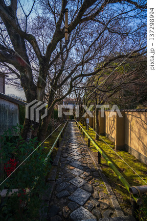 京都の美しい庭園 京都の美しい庭園 137298994