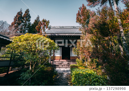 京都の美しい庭園 京都の美しい庭園 137298998