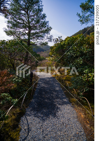 京都の美しい庭園 137299005