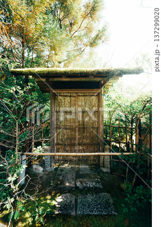 京都の美しい庭園 137299020