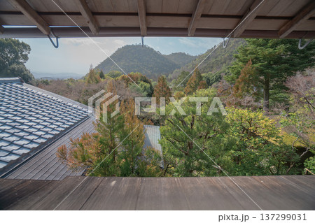 京都の美しい庭園 137299031