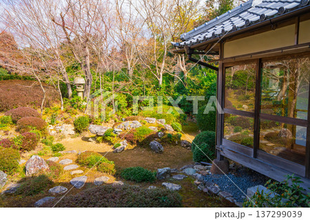 京都の美しい庭園 137299039