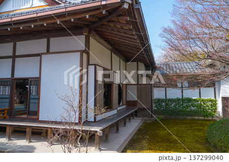 京都の美しい庭園 京都の美しい庭園 137299040