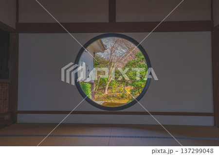 京都の美しい庭園 京都の美しい庭園 137299048