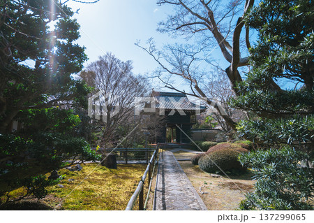 京都の美しい庭園 京都の美しい庭園 137299065