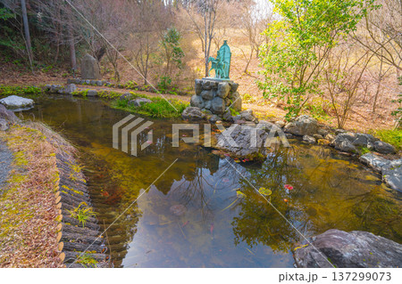 京都の美しい庭園 137299073