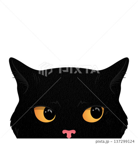 Black peeking cat face isolated on white background. Cat with big yellow eyes is looking out. Vector illustration 137299124
