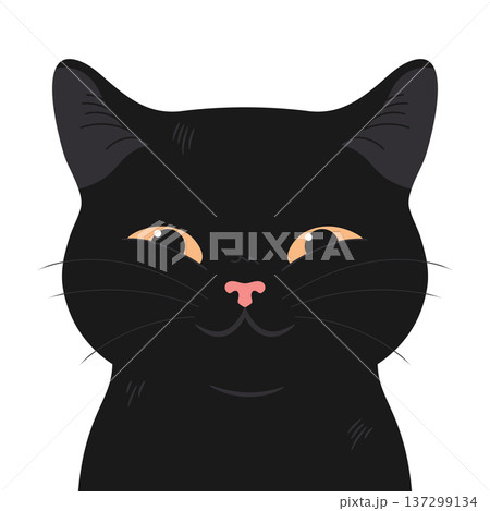 Cute smiling cartoon black cat isolated on white background. Vector illustration 137299134