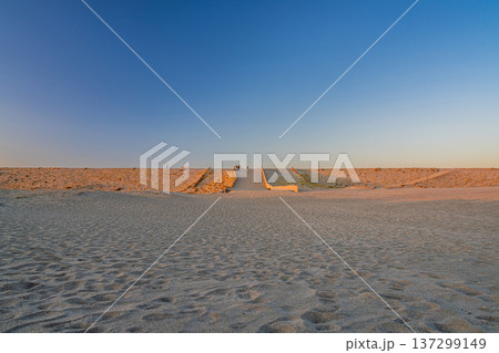 浜松市の中田島砂丘の風景(静岡県) 137299149