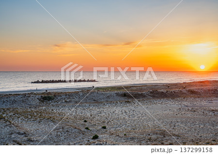 浜松市の中田島砂丘の風景(静岡県) 137299158