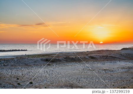 浜松市の中田島砂丘の風景(静岡県) 137299159