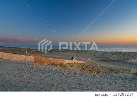 浜松市の中田島砂丘の風景(静岡県) 浜松市の中田島砂丘の風景(静岡県) 137299217