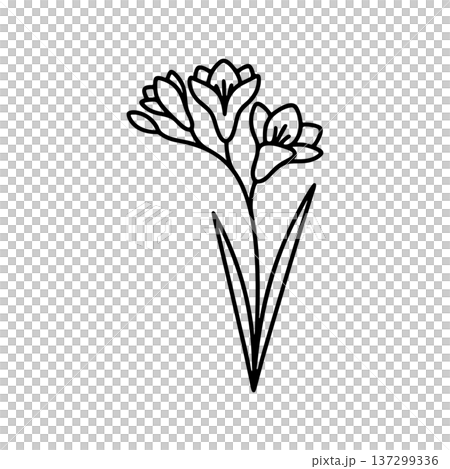 Simple freesia line drawing icon 137299336