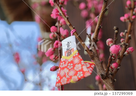 福岡県福津市の宮地嶽神社 福岡県福津市の宮地嶽神社 137299369