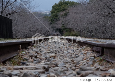 京都インクラインの廃線跡 137299388