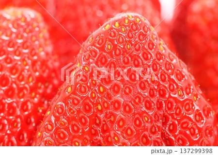 イチゴ　紅ほっぺ　静岡県産　明るい背景 137299398