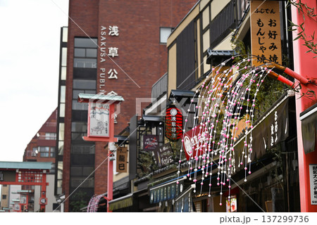 浅草・伝法院通に飾られた新春の餅花【東京都台東区】 137299736