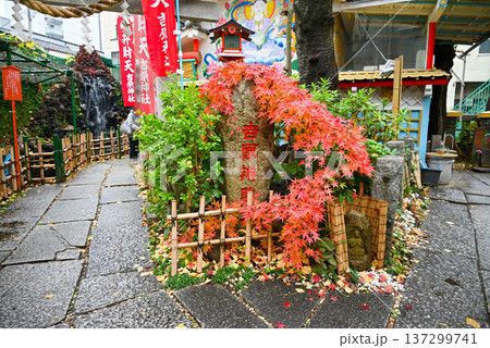 浅草・吉原弁財天の境内の風景【東京都台東区】 137299741
