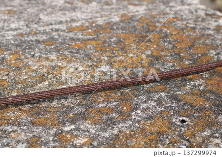 経年変化で赤く錆びたステンレス製のロープ 経年変化で赤く錆びたステンレス製のロープ 137299974