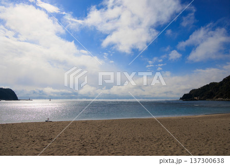 冬の海の気嵐(蒸気霧) 冬の海の気嵐(蒸気霧) 137300638