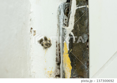 Close up of toxic black mold spots on house wall texture. Close up of toxic black mold spots on house wall texture. 137300692